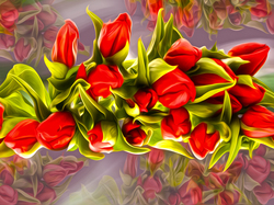 Grafika, Tulipany, Czerwone