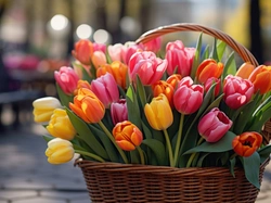 Tulipany, Kolorowe, Koszyk