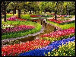 Tulipany, Rzeczka, Park, Kwiaty