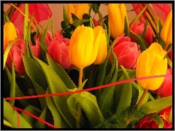 Tulipany, Wstążka