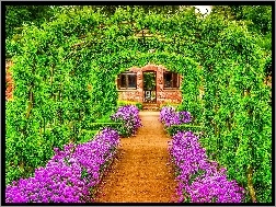 Tunel, Kwiaty, Ogród, Zielony