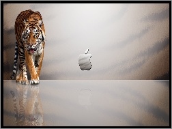 Apple, Tygrys, Logo