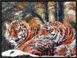 Tygrysy, Zimą