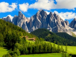 Włochy, Tyrol, Alpy, Łąki, Domy, Południowy, Lasy