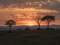 Chmury, Uganda, Afryka, Drzewa, Zachód słońca, Kisoro