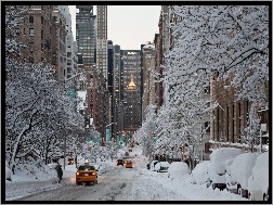 Ulica, Zima, Nowy York