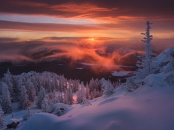 Drzewa, Góry Ural, Ośnieżone, Zima, Park Narodowy Taganaj, Rosja, Wschód słońca