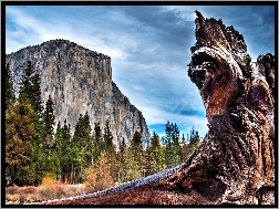 USA, Narodowy, Park, Yosemite