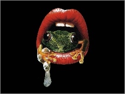 Żaba, Usta, Zęby