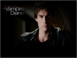 Vampire Diaries, Damon Salvatore