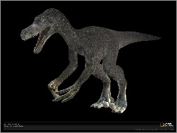 Dinozaur, Velociraptor