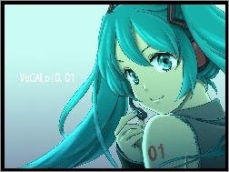 Vocaloid, 01