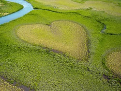 Lasy mangrowe, Australia, Oceania, Serce, Coeur de Voh