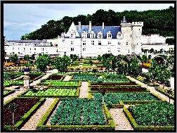 Ogrody, W, Francja, Dolina, Villandry, Zamek, Loary