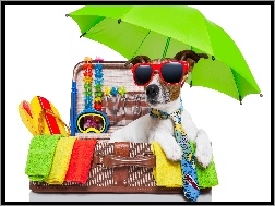 Wakacje, Parasol, Okulary, Pies, Waliza