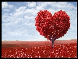 Walentynki, Drzewo, Czerwone, Serce