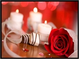 Świece, Walentynki, Róża