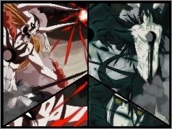 Ulquiorra, Walka, Ichigo