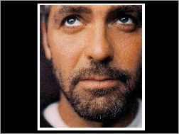 wąsy, George Clooney, broda