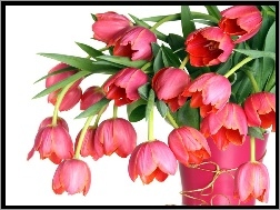 Wazon, Tulipanów, Różowych, Bukiet, Różowy