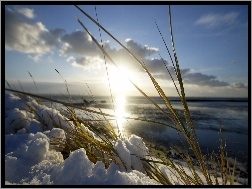 Śnieg, Morze, Słońce, Wczesne, Trawa