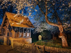 Wejście, Ogrodzenie, Baslow, Kościół św. Anny, Drzewo, Kwitnące, Cmentarz, Hrabstwo Derbyshire, Anglia, Drzewo, Noc, Lychgate