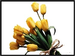 Tulipanów, Wiązanka, Żółtych