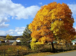 Wieś, Pola, Drzewa, Jesień, Chmury