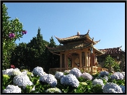 Wietnam, Altana, Ogród, Kwiaty