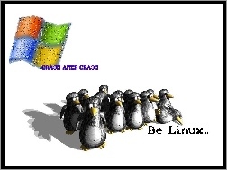 Linux, Windows, Kontra