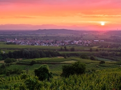 Kaiserstuhl, Winnice, Drzewa, Zachód słońca, Niemcy, Wzgórza
