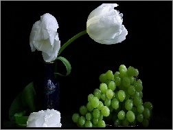 Winogrona, Tulipany, Białe, Zielone