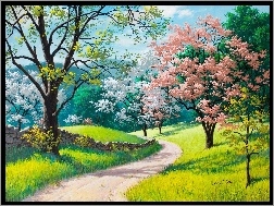 Wiosna, Kwitnące, Droga, Drzewa