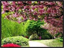 Wiosna, Ogród