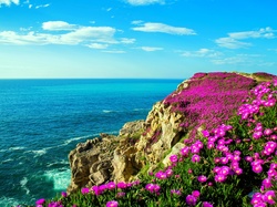 Wiosna, Fioletowe, Skały, Wybrzeże, Kwiaty
