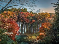 Wodospad Shiraito, Liście, Drzewa, Park Narodowy Fudżi-Hakone-Izu, Japonia, Gałęzie, Jesień, Wieczór