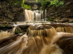 Skały, Park stanowy Blackwater Falls, Wirginia Zachodnia, Stany Zjednoczone, Wodospad
