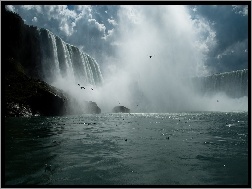 Ptaki, Wodospad, Niagara