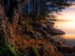 Wschód słońca, Prowincja Finlandia Zachodnia, Region Pirkanmaa, Drzewa, Kamienie, Jezioro Näsijärvi, Finlandia, Jesień