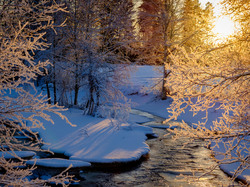 Rzeka, Ośnieżone, Drzewa, Wschód słońca, Zima