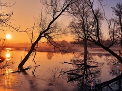 Wschód słońca, Rzeka Odra, Polska, Drzewa