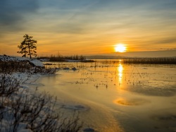 Szwecja, Wschód słońca, Jezioro Glafsfjorden, Zima, Drzewo
