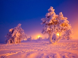 Wschód słońca, Drzewa, Zima, Śnieg