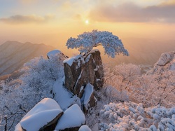 Wschód słońca, Drzewa, Skały, Góry, Park Prowincjonalny Daedunsan, Prowincja Jeolla Północna, Korea Południowa, Ośnieżone, Zima, Sosna