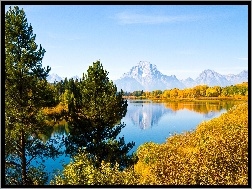 Drzewa, Stan Wyoming, Szczyt Mount Moran, Jezioro Jackson Lake, Park Narodowy Grand Teton, Stany Zjednoczone, Góry