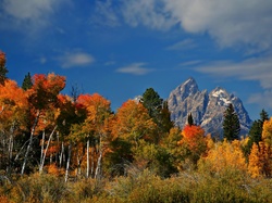 Wyoming, Park, Jesień, Narodowy