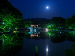 Wyspa Honsiu, Staw, Nara Park, Miasto Nara, Noc, Drzewa, Odbicie, Altana Ukimido Pavilion, Japonia, Księżyc