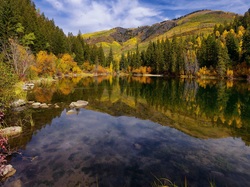Stan Kolorado, Jesień, Drzewa, Jezioro Lizard Lake, Stany Zjednoczone, Wzgórza