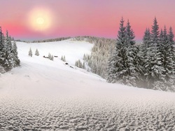 Wzgórza, Słońce, Drzewa, Zima, Ukraina