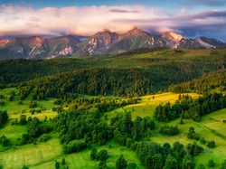 Lasy, Tatry, Łąki, Słowacja, Poranek, Chmury, Góry, Wzgórze